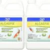 API Pond AlgaeFix - 32 Fl Oz
