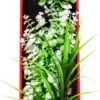 Aquatop Vibrant Wild Plant Boxed Plastic Aquarium Plant - White - 16