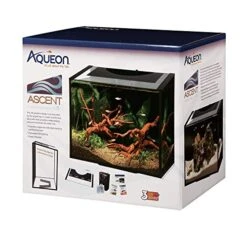 Aqueon Ascent Frameless Aquarium Kit - 10 Gal