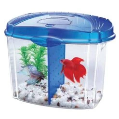 Aqueon Betta Bowl Aquarium Kit - Blue - 0.5 Gal