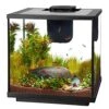 Aqueon LED Shrimp Aquarium Kit - 7.5 Gal