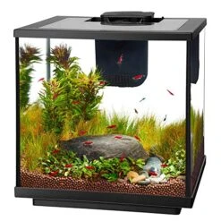 Aqueon LED Shrimp Aquarium Kit - 7.5 Gal