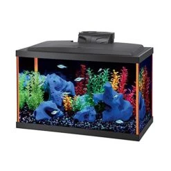 Aqueon NeoGlow LED Aquarium Kit - Orange - 10 Gal