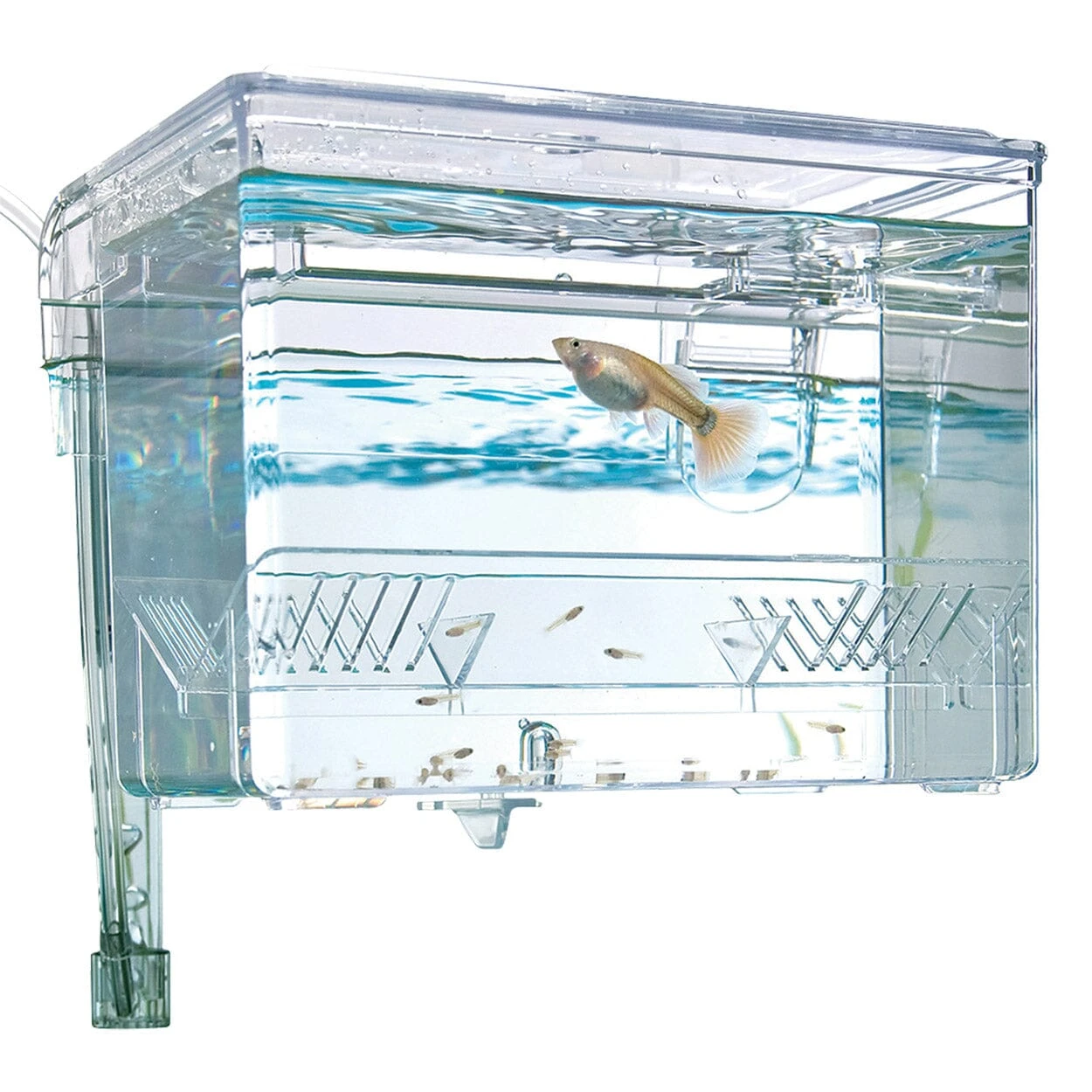 Fluval Hang-On Breeding Box - Medium 1 Fluval Hang-On Breeding Box - Medium