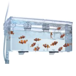 Fluval Multi-Chamber Holding & Breeding Box - Large