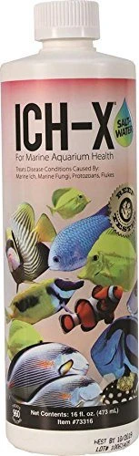 Hikari Ich-X Saltwater - 16 Fl Oz