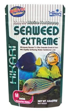 Hikari Seaweed Extreme - Medium Wafers - 8.8 Oz
