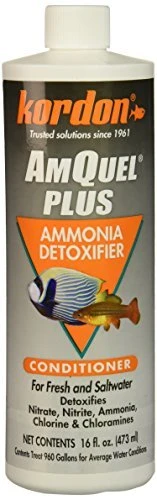 Kordon Amquel Plus - 16 Fl Oz