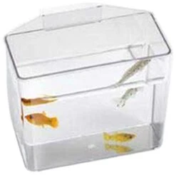 Lee's Specimen Container/Convalescent Home - Heavy Duty - Small