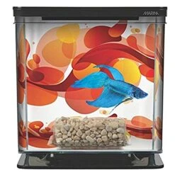 Marina Betta Kit - Sun Swirl Theme - 2 L