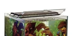 Marineland Hinged With Clips Aquarium Glass Canopy - 18 X 18 In