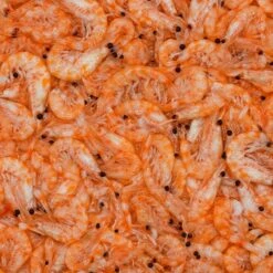 San Francisco Bay Brand Frozen Krill - 8 Oz -Pets-Fish Shop san francisco bay brand frozen krill 8 oz 318315
