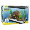 Tetra Complete Deluxe LED Aquarium Kit Aquatics Starter Kits - 20 Gal - 24 X 12 X 16