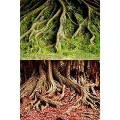 Underwater Treasures Amazon Root/Grassy Root Reversible Background - 20" - Sold By The Foot - 50 Feet