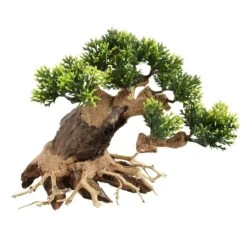 Underwater Treasures Ancient Bonsai Wood - Large