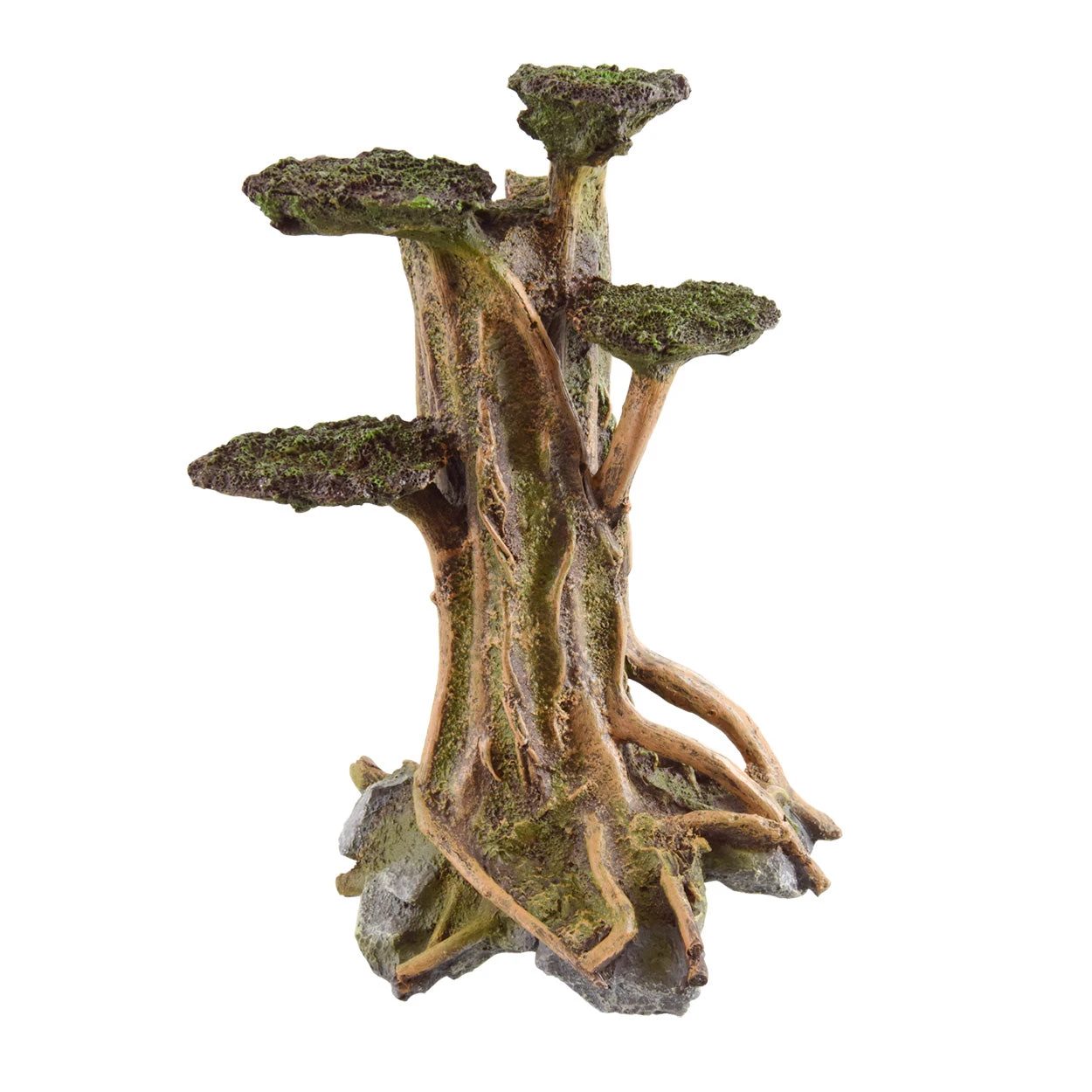 Underwater Treasures Ancient Tree - Medium 1 Underwater Treasures Ancient Tree - Medium