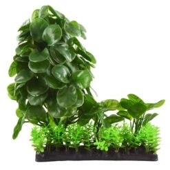 Underwater Treasures Calathea Mound