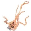 Underwater Treasures Cholla Wood - Large