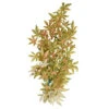 Underwater Treasures Japanese Maple - Red - 24"