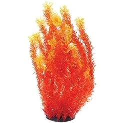 Underwater Treasures Orange Cabomba - 20"