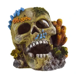 Underwater Treasures Reef Skull